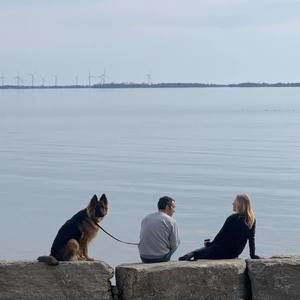 Meet your Posher, Neil